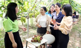 Cầu nối tình hữu nghị Việt - Lào